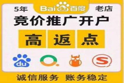 百度广告投放策略与效果评估案例